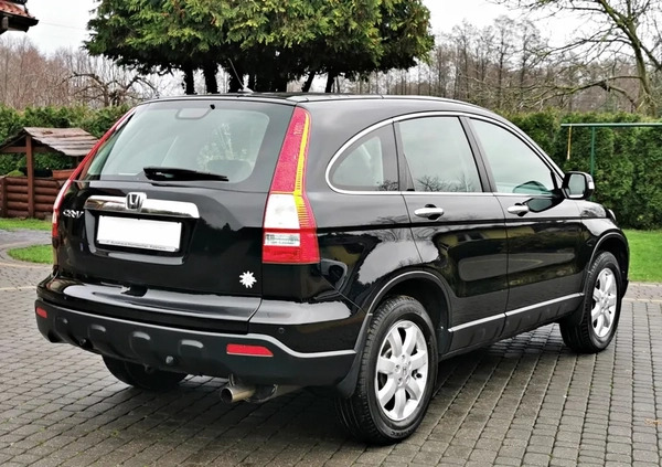 Honda CR-V cena 39800 przebieg: 233000, rok produkcji 2009 z Wyszogród małe 466